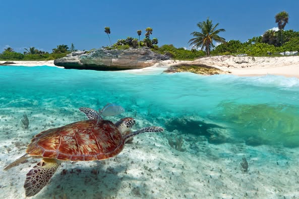 New Years In The Caribbean 