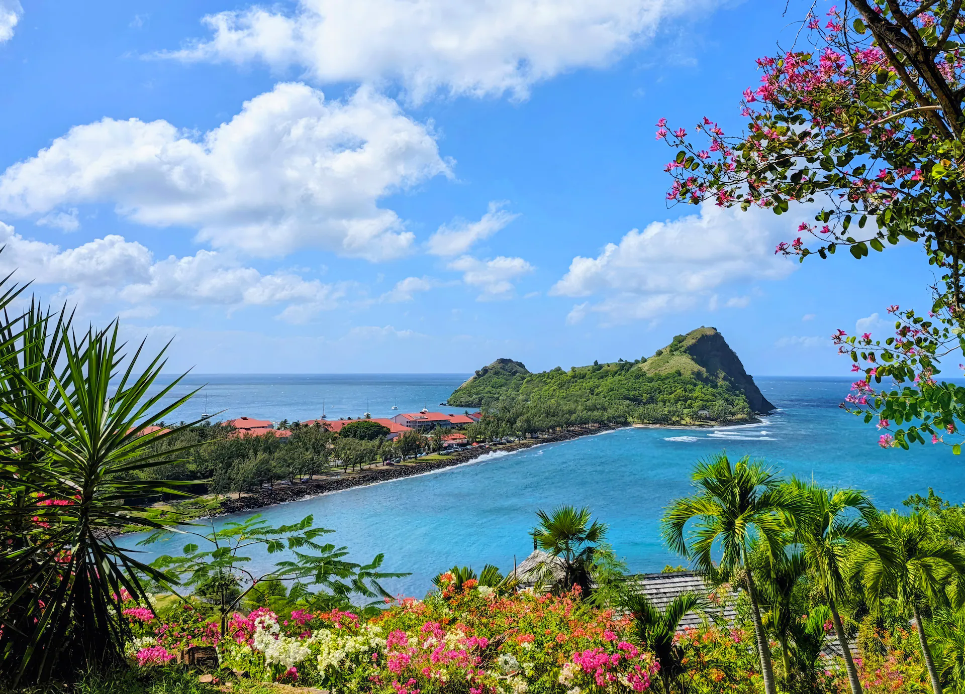 Caribbean Transatlantic