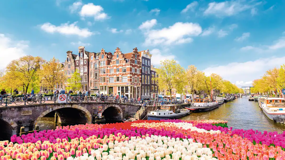 Solo Offer - Amsterdam